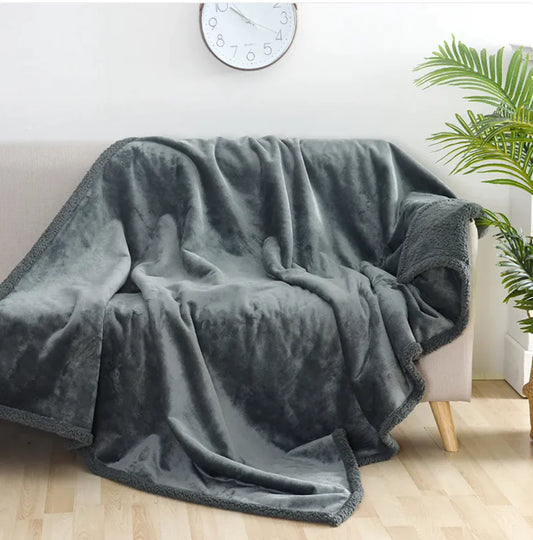 Double-Sided Waterproof Blanket