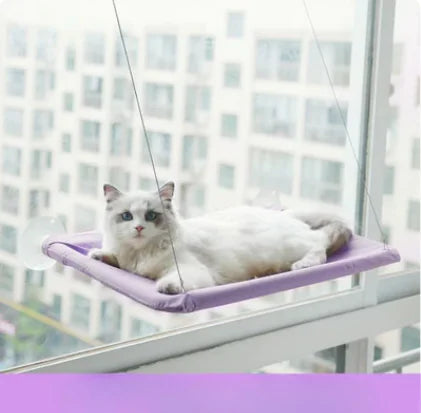 Window Suspended Pet Bed