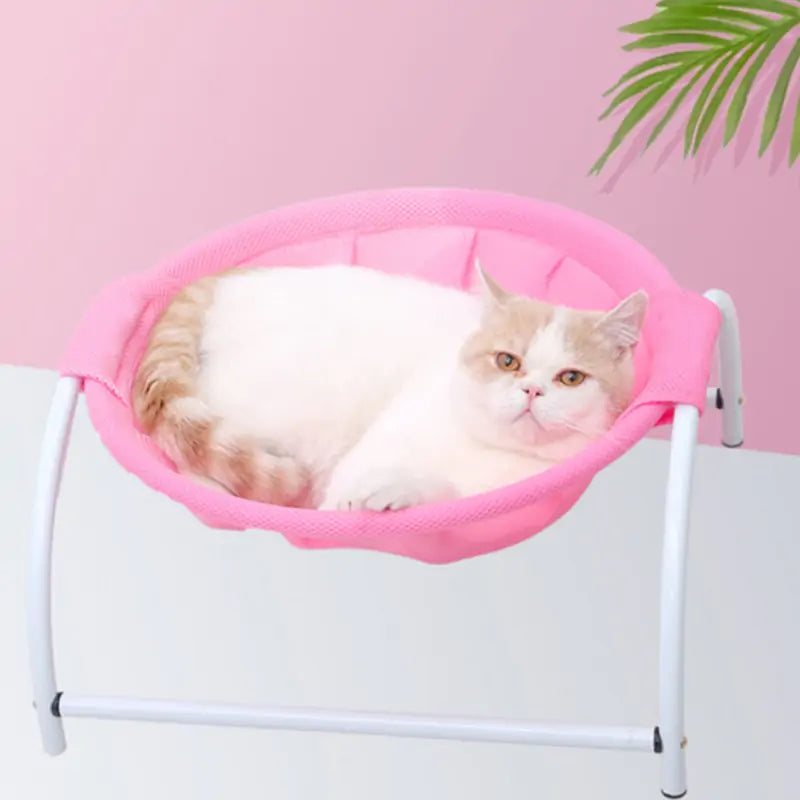 Pet Hammock