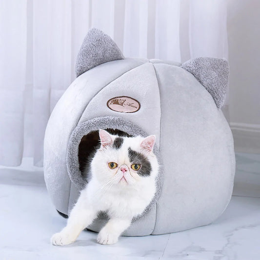 Cat Cave House